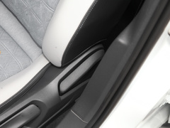 2023款 300TSI DSG满逸版