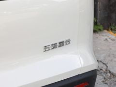 2023款 2.0L HEV 标准版