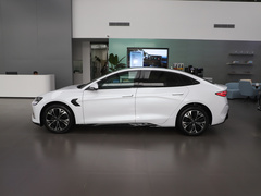 2023款 冠军版 550km 尊贵型