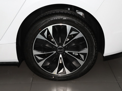 2023款 冠军版 550km 尊贵型