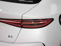 2023款 冠军版 550km 尊贵型