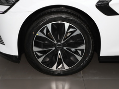 2023款 冠军版 550km 尊贵型