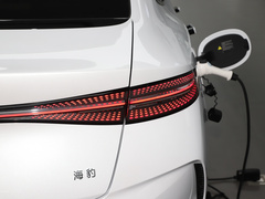 2023款 冠军版 550km 尊贵型