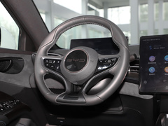 2023款 冠军版 550km 尊贵型