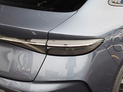 2023款 冠军版 550km 尊贵型