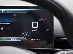 2023款 冠军版 550km 尊贵型