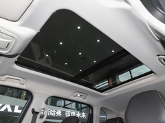2024款 2.0T DCT中华田园犬版