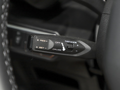 2024款 2.0T DCT中华田园犬版