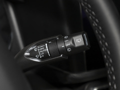2024款 2.0T DCT中华田园犬版