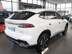 2023款 全新 eRX5 超混优越版 
