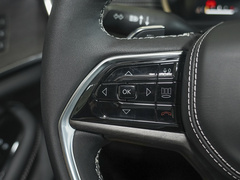 2023款 2.0T 4xe 远峰版