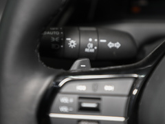 2023款 2.0L e:PHEV 尊贵版