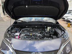 2023款 双擎 2.5L CVT两驱豪华版