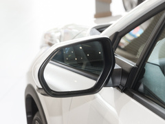 2023款 双擎 2.0L 奕行版