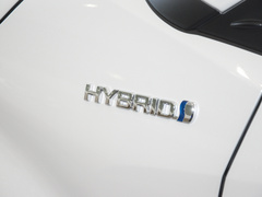 2023款 双擎 2.0L 奕行版