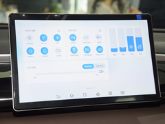 2023款 冠军版 DM-i 71KM超越型