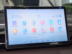 2023款 冠军版 DM-i 71KM超越型