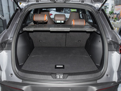 2023款 冠军版 DM-i 110KM超越型