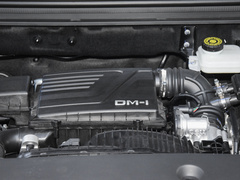 2023款 冠军版 DM-i 110KM超越型