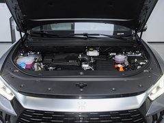2023款 冠军版 DM-i 110KM超越型
