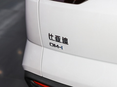 2023款 冠军版 DM-i 110KM卓越型
