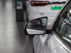 2023款 冠军版 DM-i 110KM卓越型