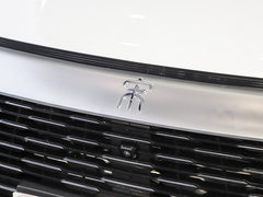 2023款 冠军版 DM-i 110KM卓越型