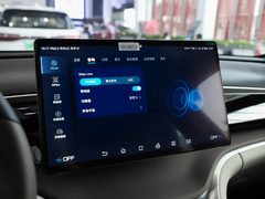 2023款 冠军版 DM-i 110KM卓越型