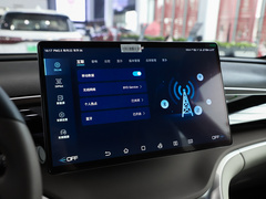 2023款 冠军版 DM-i 110KM卓越型