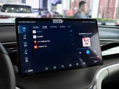 2023款 冠军版 DM-i 110KM卓越型