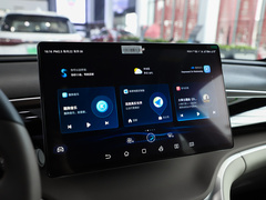 2023款 冠军版 DM-i 110KM卓越型