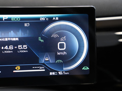 2023款 冠军版 DM-i 110KM卓越型