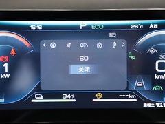 2023款 冠军版 DM-i 110KM卓越型