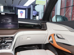 2023款 冠军版 DM-i 110KM卓越型