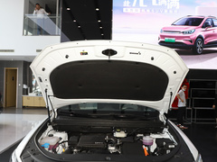 2023款 冠军版 DM-i 110KM卓越型