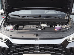 2023款 冠军版 DM-i 110KM卓越型