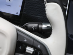 2023款 1.5T 115km PLUS