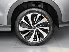 2023款 冠军版 EV 520KM 旗舰型