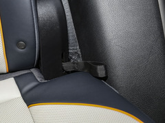 2023款 冠军版 EV 520KM 旗舰型