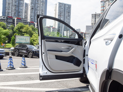 2023款 冠军版 DM-i 110KM 旗舰型