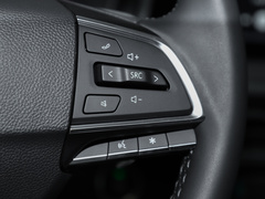 2023款 PLUS 1.5T 幸福推荐自动护航版 