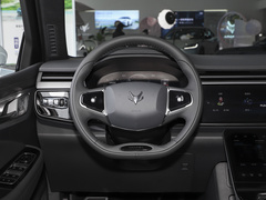 2023款 480 森林版 175kW