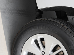 2023款 2.0L 自动 标轴 能量型