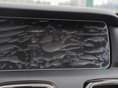 2023款 2.0L 自动 长轴 能量型