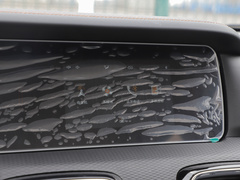 2023款 2.0L 自动 长轴 能量型