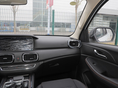 2023款 2.0L 自动 长轴 能量型