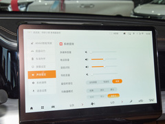 2024款 领航系列 2.0TGDI 两驱豪华智联版