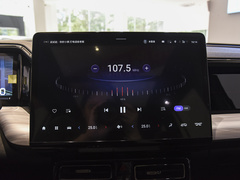 2024款 双擎系列 2.0TM 两驱尊贵版