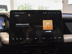 2024款 双擎系列 2.0TM 两驱尊贵版