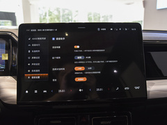 2024款 双擎系列 2.0TM 两驱尊贵版